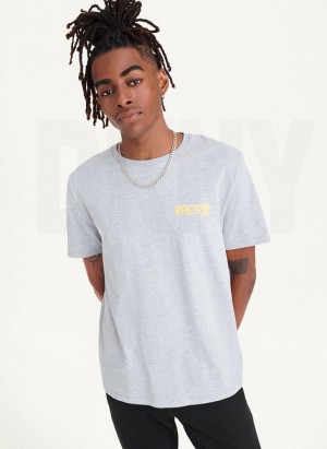 DKNY Don't Knock New York Men's T Shirts Light Grey | Ireland_D0519