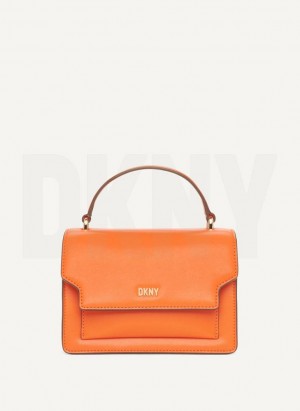 DKNY Millie Women's Crossbody Bags Orange | Ireland_D0443