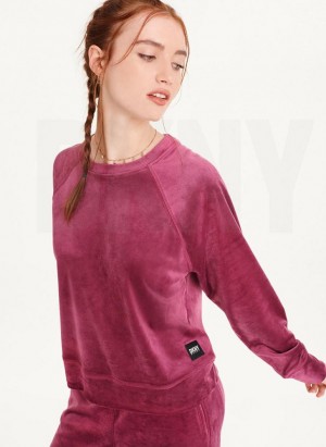 DKNY Platinum Velour Pullover Women's Sweatshirts Purple | Ireland_D0250