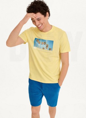 DKNY Split Palm Trees Men's T Shirts Yellow | Ireland_D0932