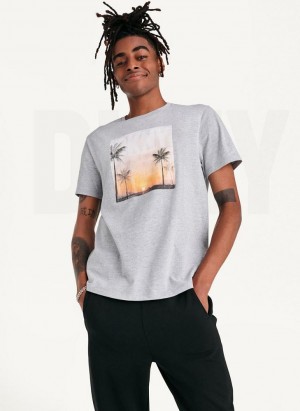 DKNY Susnet Logo Men's T Shirts Light Grey | Ireland_D0270