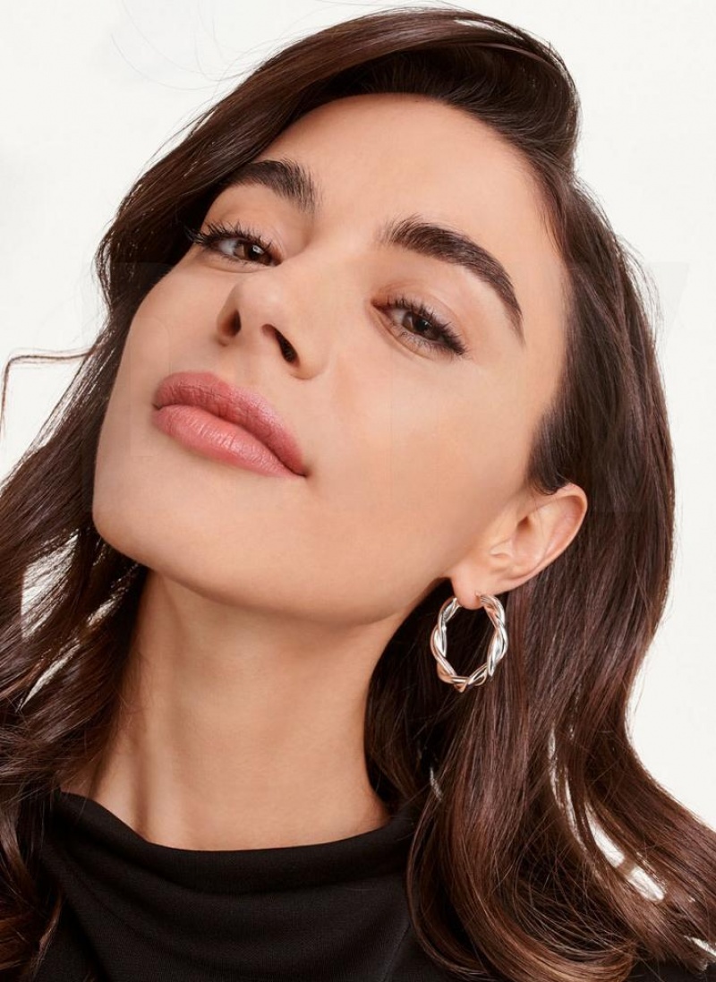 DKNY Chunky Twist Hoop Women's Earrings Silver | Ireland_D1970