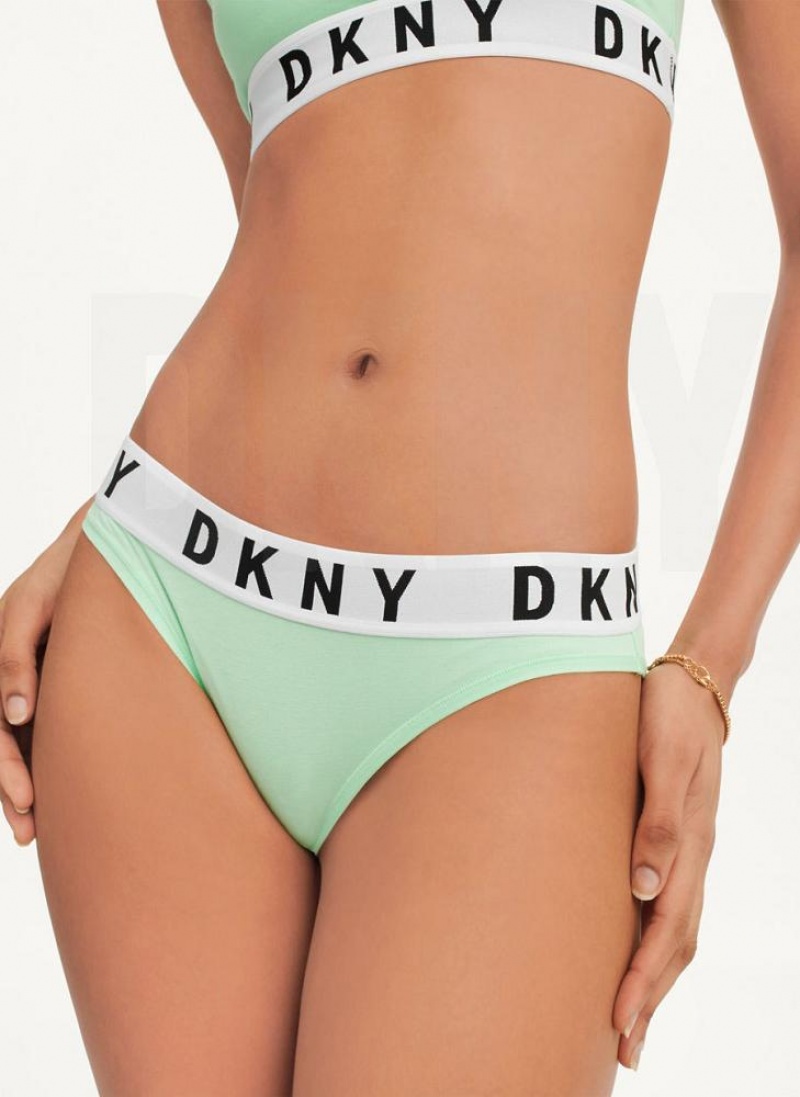 DKNY Cozy Boyfriend Bikini Women\'s Panties Green | Ireland_D1799